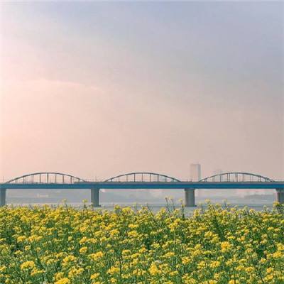 广州沥心沙大桥明日恢复全面通行